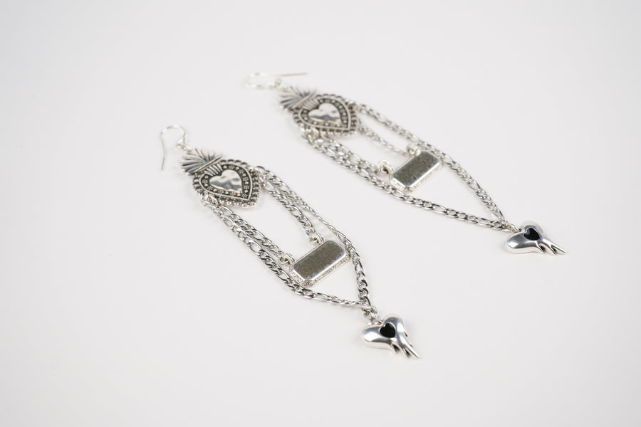 Sparkling youth silver earrings